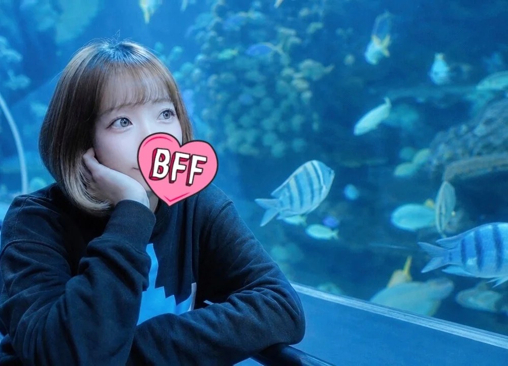 -YUA-jp