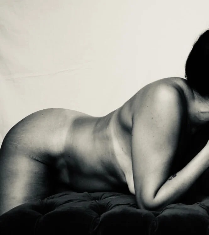 ArabaFenix