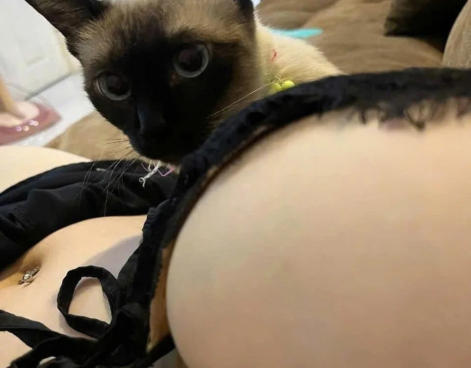 Daisy_02