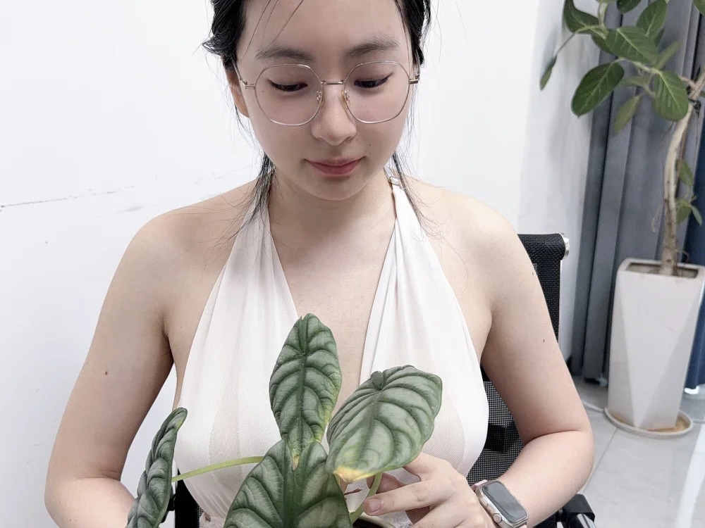 Erya-369