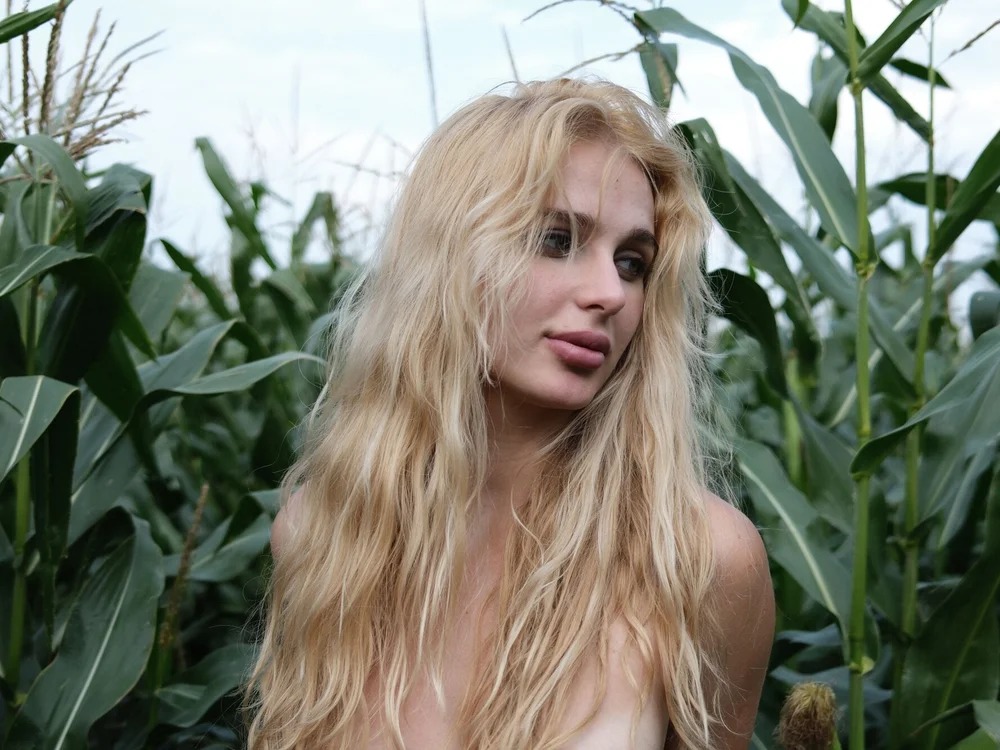 Golden__Daisy