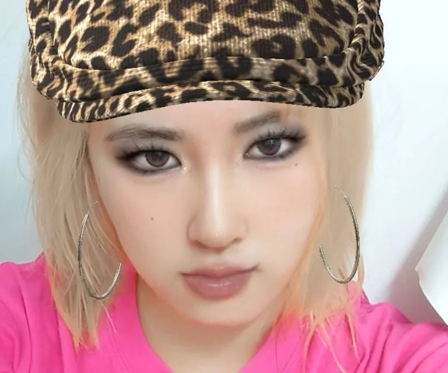 LittleKitty-