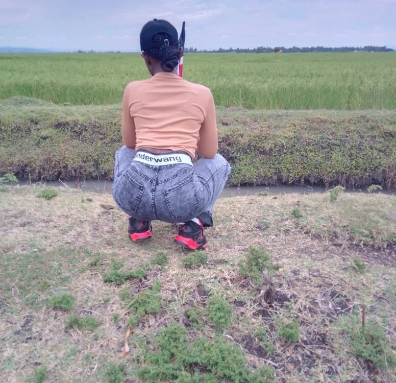 LittleMissEvaa