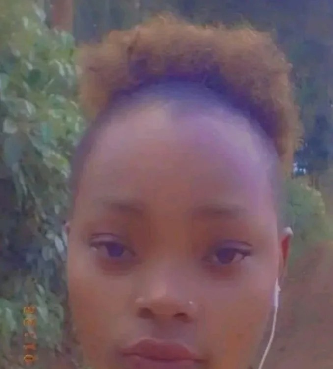 Meddy_Maya