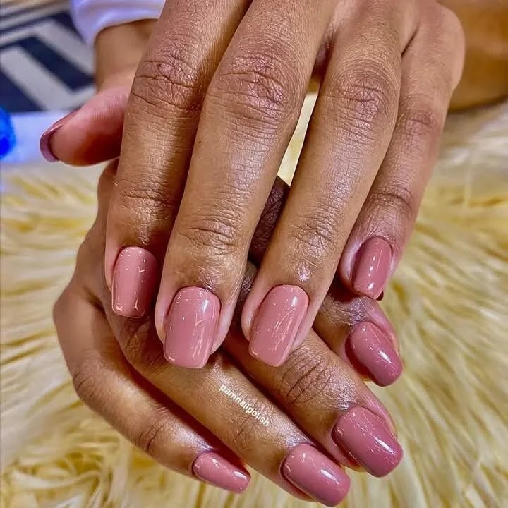 NautyAnn