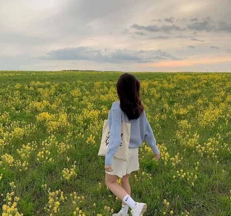 Ninaa20