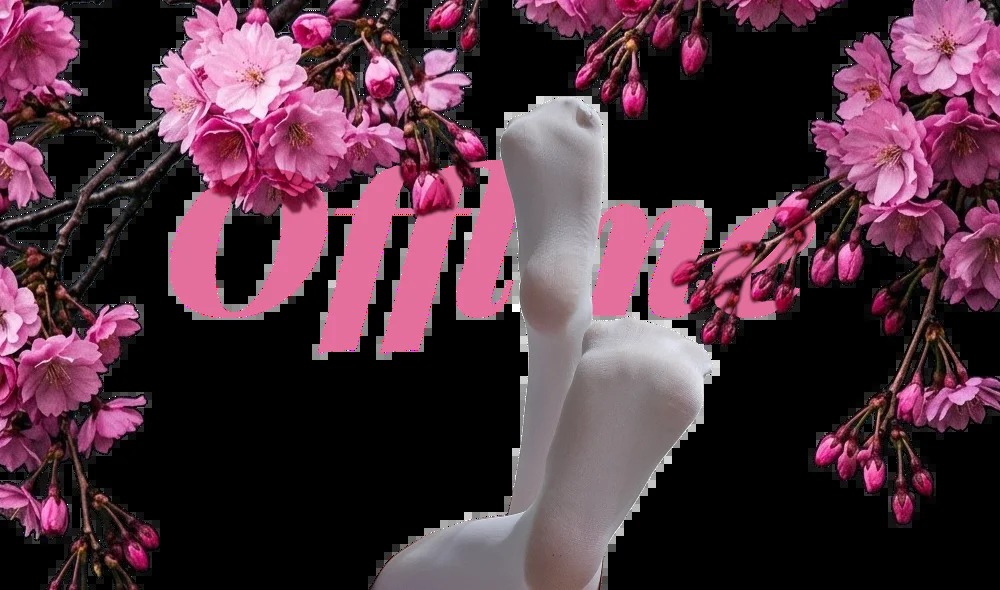 SAKURA_MAEDA