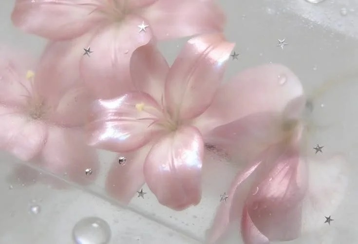 SoftDesirehy
