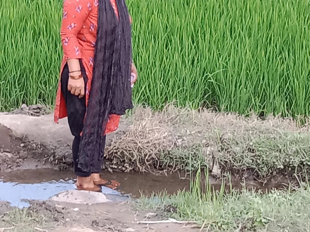 Udh-jamuna