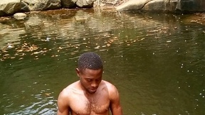 young-bee