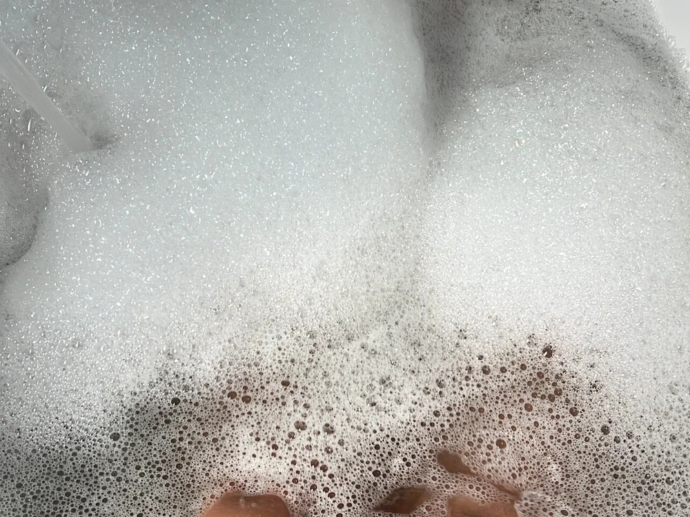anabis_senses