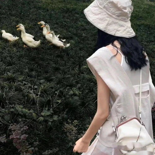 dggcbz