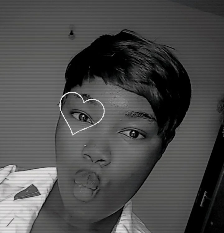 larvyebony