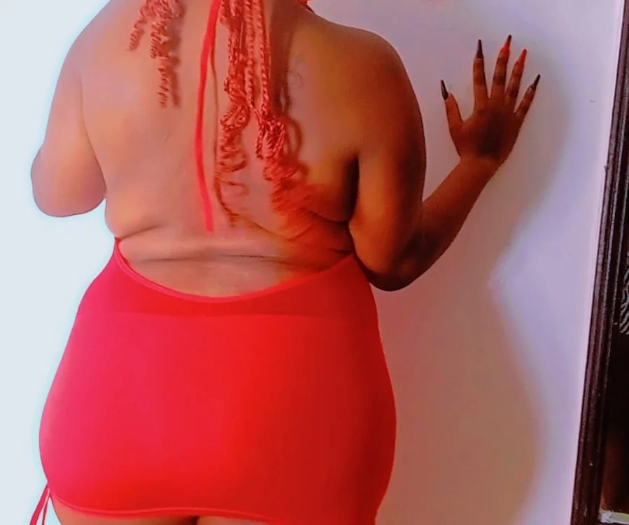 mahogany_stallion