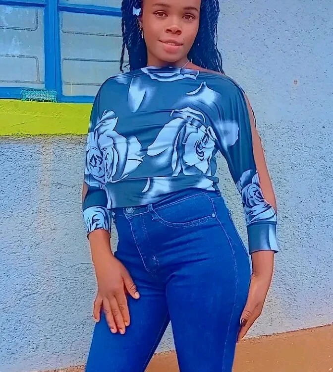 mesh_cutie