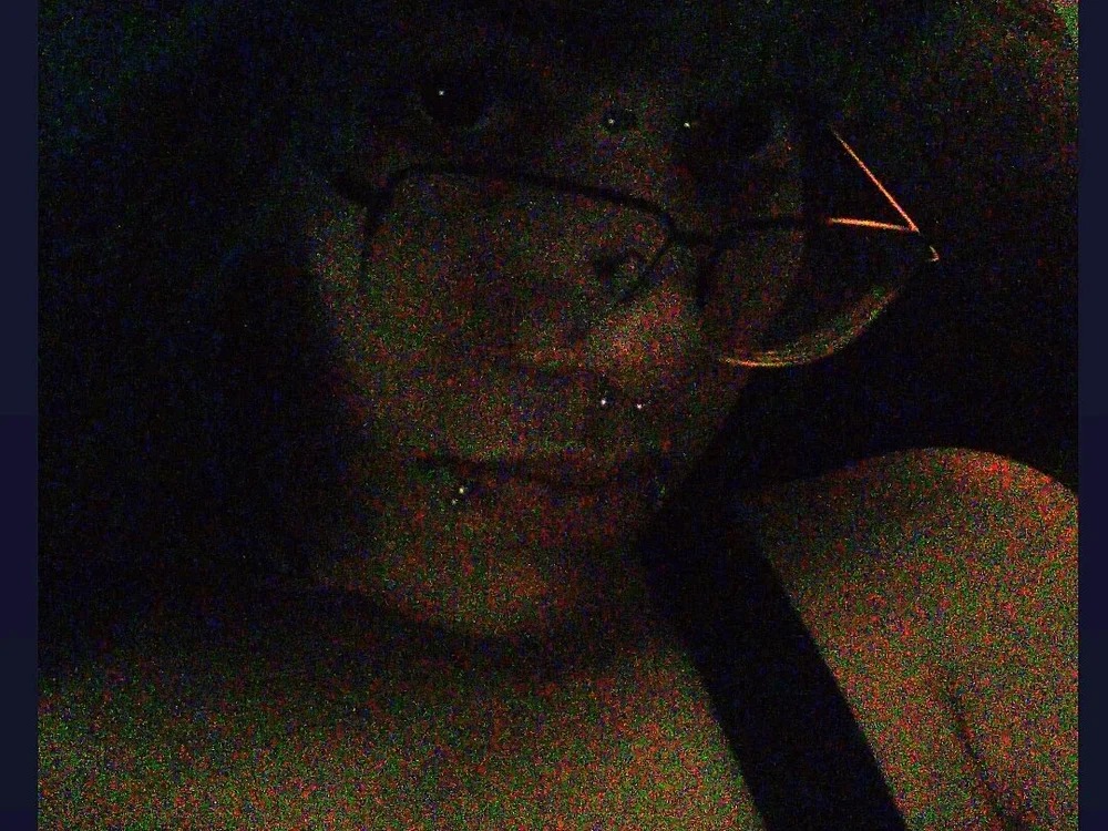 nyx_got
