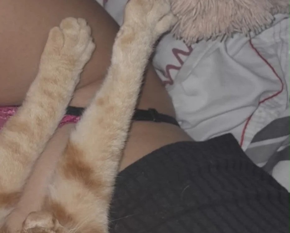 sapequinh09